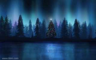 Christmas tree night lake forest - a forest of trees free wallpaper