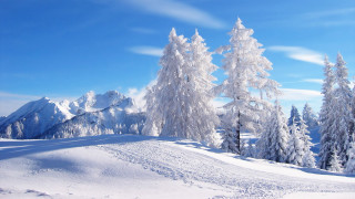 Snowy landscape trees mountains blue 4 - a snowy landscape free wallpaper