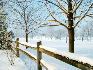 Fence snow tree background snow 3 - in the snow free wallpaper
