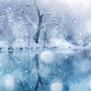 Snowy lake trees winter moonlight - free winter wallpaper for tablet