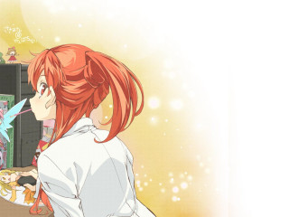 Red haired girl tv birds - a tv screen free wallpaper