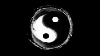 Yin yang black white moon - symmetric free wallpaper