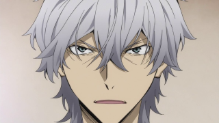 Man grey hair white shirt - grey free wallpaper