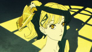 Girl bird head shoulder friends - her head and a bird free wallpaper