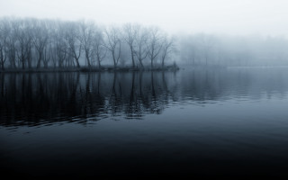 Lake trees fog water reflections 2 - gloomy free wallpaper