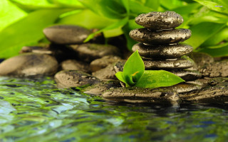 Rock pile pond green plant - a pile of rocks free wallpaper