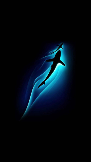Person swimming ocean shark nighttime - a light shining free wallpaper for mobile