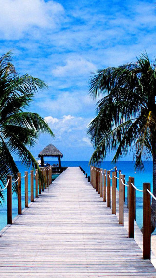 Pier beach palm trees hut - free beach wallpaper for mobile