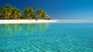 Beach palm trees clear water 17 - clear water free wallpaper