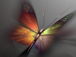 Colorful butterfly light wings spread - a colorful butterfly free wallpaper