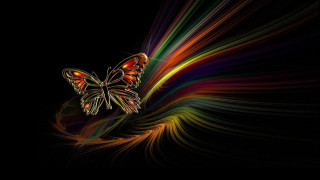 Butterfly colorful swirl flying wings - its wing free wallpaper