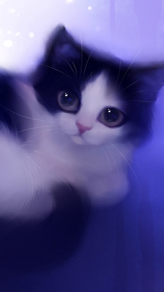 Black white cat purple background - photorealistic free wallpaper for mobile