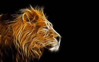 Lion yellow light dark magic - free fantasy wallpaper for desktop