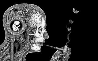Skeleton smoking cigarette butterfly skull - dmt free wallpaper for desktop