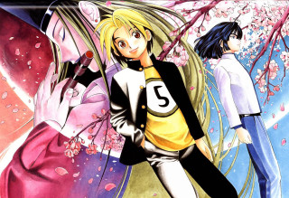 Anime characters group pink flowers - manga and anime 1 9 9 9 free wallpaper