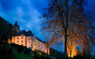 Castle lit night tree dark - a tree in the foreground free wallpaper for desktop