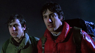 Two men dark backpack middle - their back free wallpaper for desktop