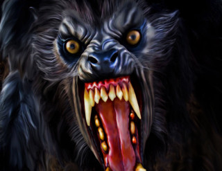 Black bear open mouth yellow - a red tongue free wallpaper