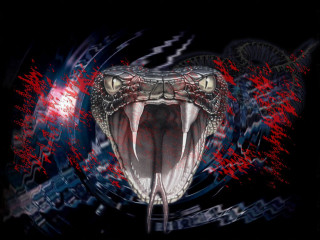 Snake mouth open tongue red - mouth free wallpaper