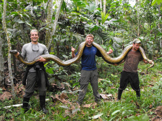 Three men large snake jungle - one man holding free wallpaper