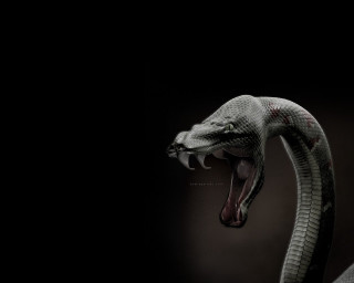 Snake mouth open tongue dark - ultra realistic digital art free wallpaper