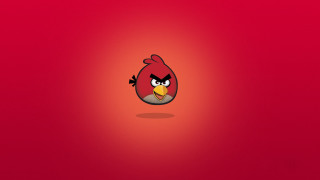 Red angry bird yellow beak - a yellow beak free wallpaper