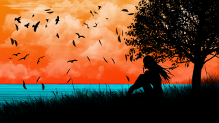 Woman hill tree water birds - a hill next free wallpaper