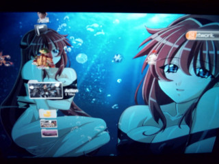 Girl fish screen aquarium underwater - a fish free wallpaper