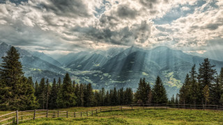 Mountain range fence forest sunlight - scenic free wallpaper