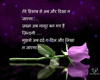 Pink rose quote purple background - a quote in the middle of it free wallpaper