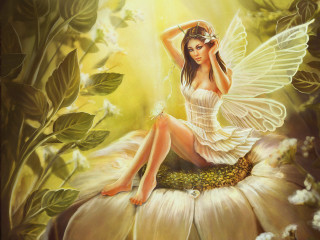 Fairy sitting flower wings spread - a halo free wallpaper
