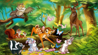 Animals forest butterflies group nature - a squirrel free wallpaper