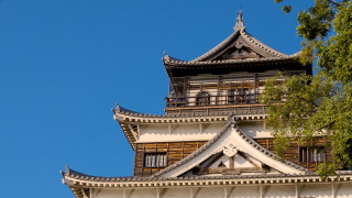Tall building clock tower tree - a tree in front free wallpaper
