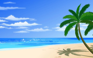 Palm tree beach blue sky 4 - a palm tree free wallpaper for desktop