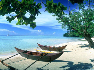 Boats beach tree sailboat background - ding guanpeng free wallpaper