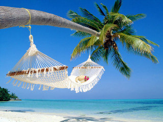 Hammock palm tree beach blue 3 - a blue sky and ocean in the background free wallpaper