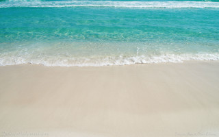 Beach wave person walking surfboard - free beach wallpaper