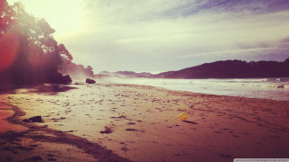 Beach yellow object tree blue - a yellow object free wallpaper