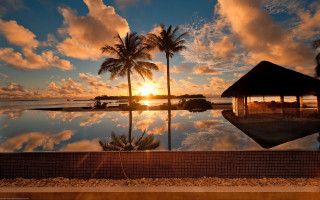Sunset reflection pool palm trees - andreas gursky free wallpaper