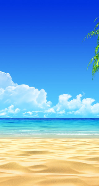 Beach palm tree blue sky - free summer wallpaper for mobile