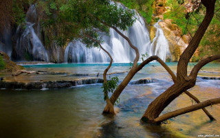 Waterfall tree background water body 2 - a few tree free wallpaper for desktop