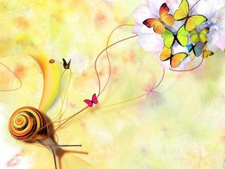 Snail flower butterflies yellow background - macro art free wallpaper