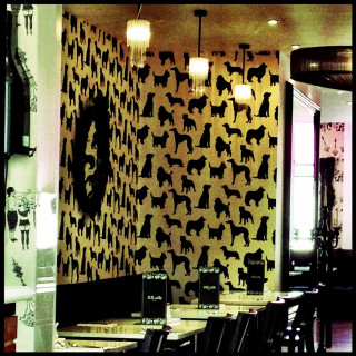 Dog pattern wall mirror clock - a mirror free wallpaper for tablet