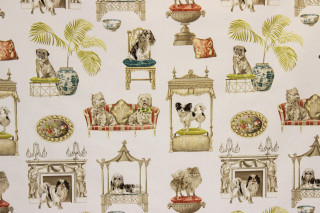 Dogs furniture wallpaper back wall - a wallpaper free wallpaper for desktop