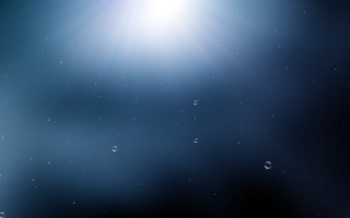 Bright sun shining water droplets - a bright sun free wallpaper