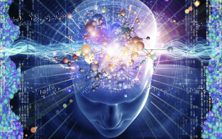 Human head balls brain numbers 2 - number free wallpaper