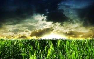 Field grass sun clouds dark - the cloud free wallpaper for desktop