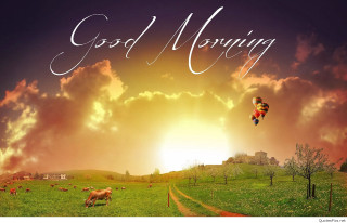 Sunset hotairballoon cow grazing urban - a picture of a sunset free wallpaper