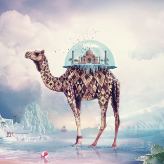 Camel dome water building pink - the water free wallpaper for tablet