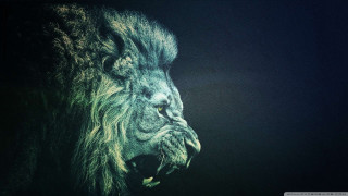 Lion mouth open dark night - a lion free wallpaper for desktop